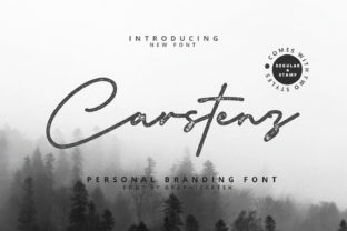 Carstenz Typeface Review: A Modern Script for Brand Identity