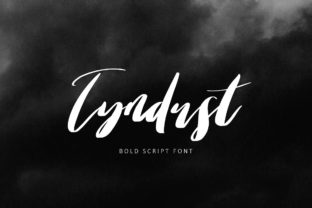 Tyndust: The Hand-Painted Script Font for Bold Campaign Visuals